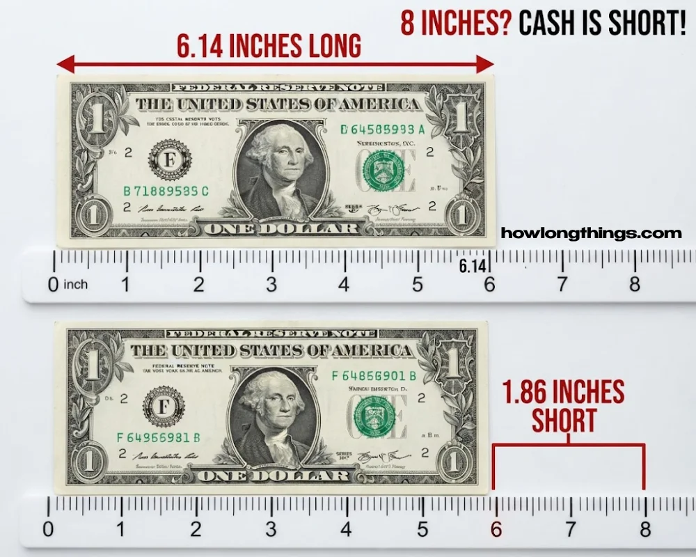 A standard dollar bill of 6.14 inches long and short 1.86 inches