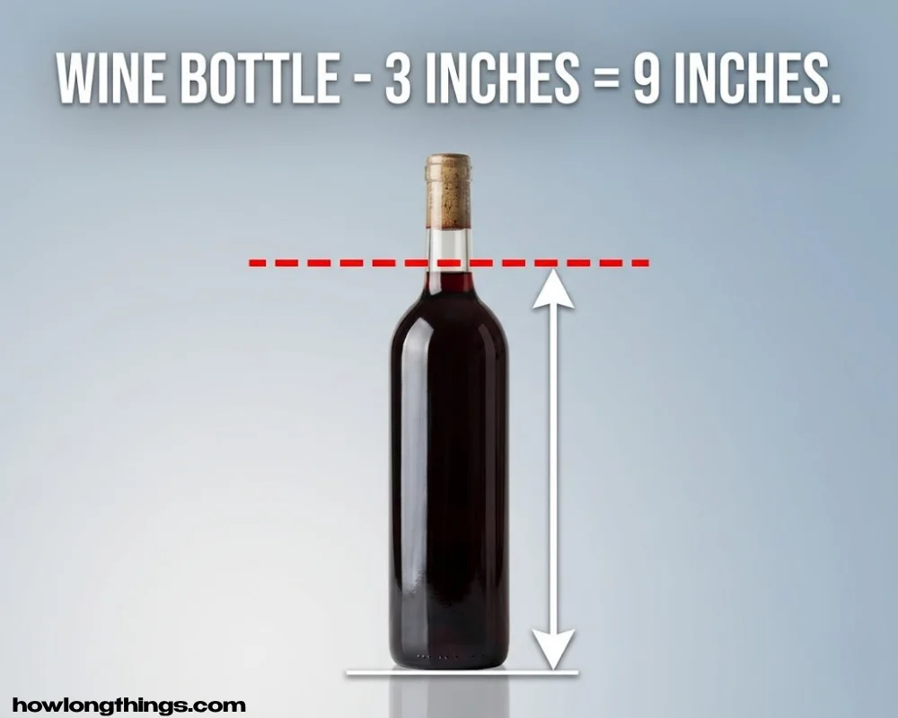 9 Inches Long A wine bottle, minus three inches