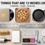 How Long Is 12 Inches? 21 Real-Life Examples & easy Measurements How Long Is 12 Inches? 21 Real-Life Examples & easy Measurements
