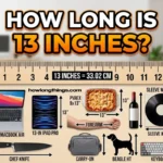 How Long Is 13 Inches 11 Amazing Everyday Examples