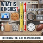 How Long Is 16 Inches? 20 Real-Life Examples & easy measurements How Long Is 16 Inches? 20 Real-Life Examples to Visualize it