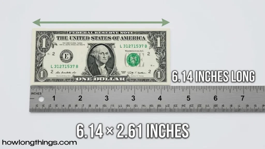 How Long Is 6 Inches?