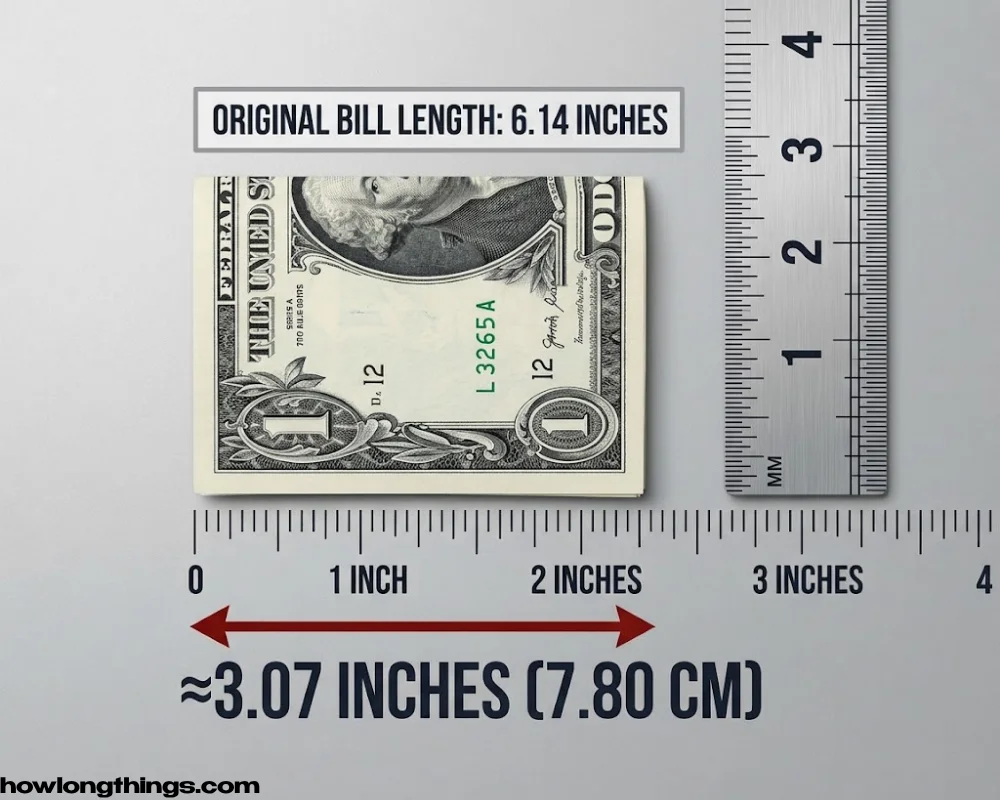 A 3 inches long folded dollar bill