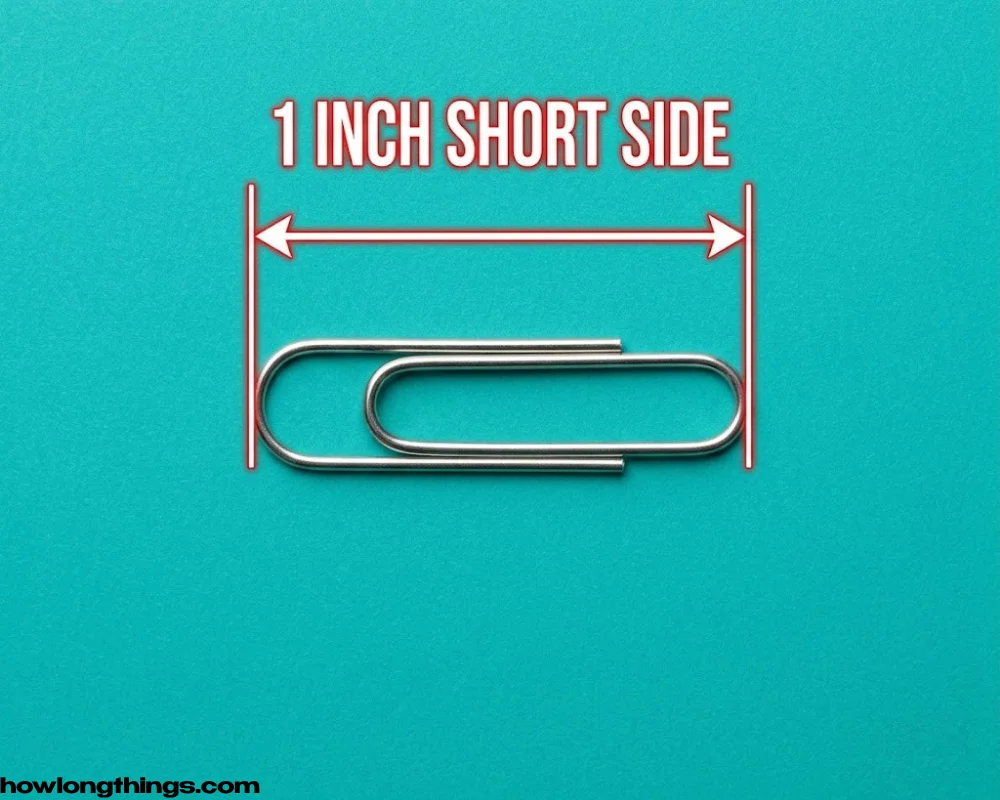 A standard office paperclip of 1 inch long