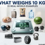 10 Kg heavy? 22 Amazing Real-World Examples How Heavy Is 10 Kg? 22 Amazing Real-World Examples