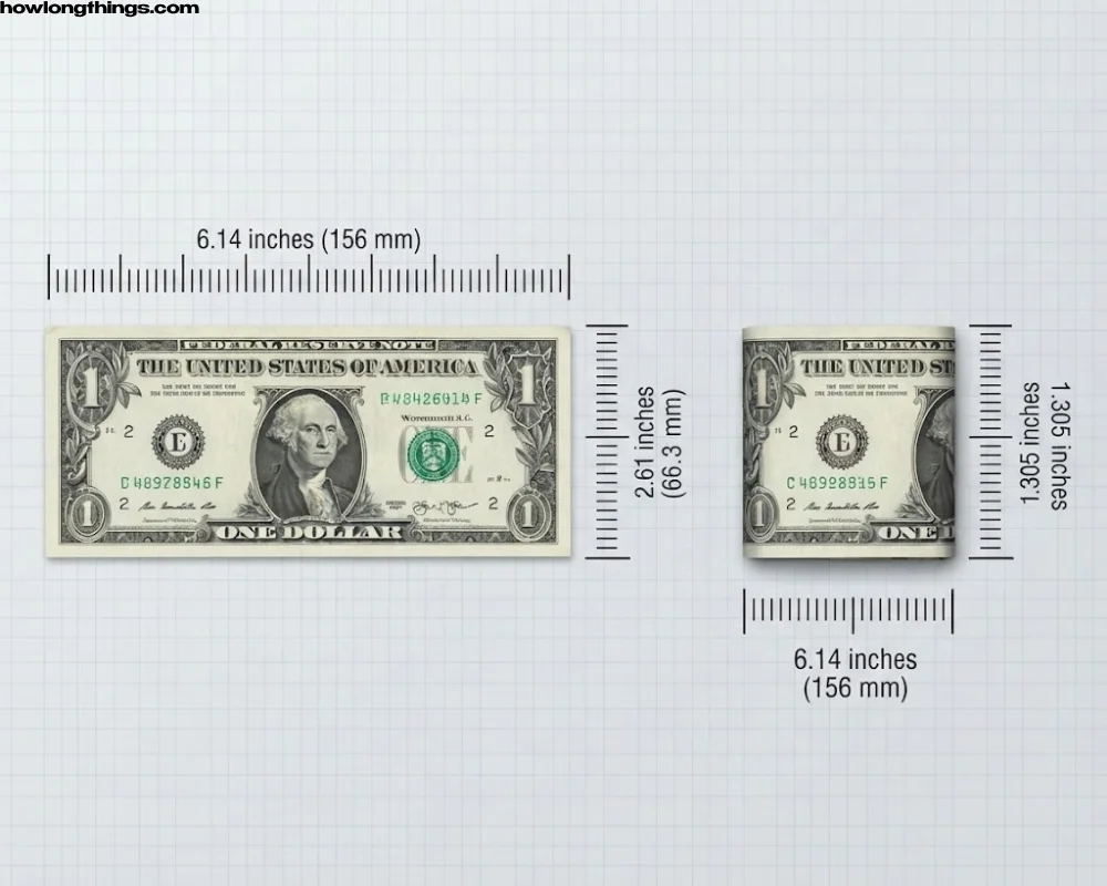 A US dollar bill Folded in half (long way)