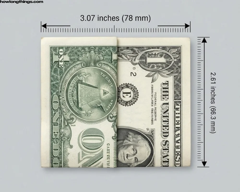 A US dollar bill Folded in half (short way)