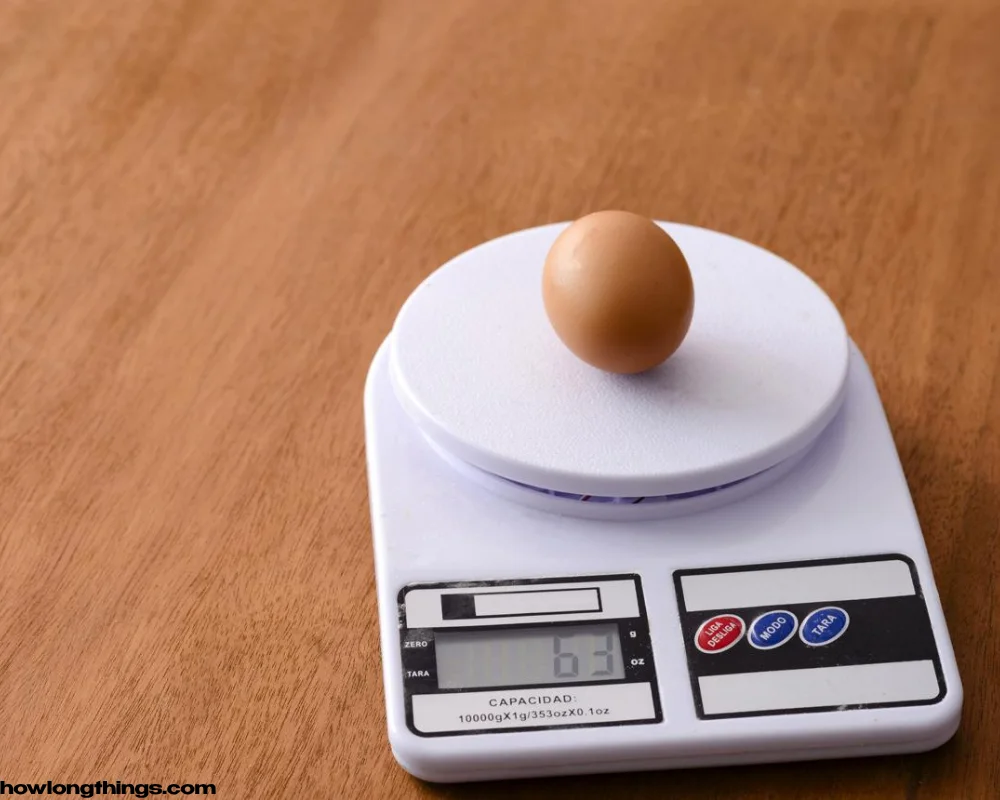 One USDA Large Egg of 2 oZ