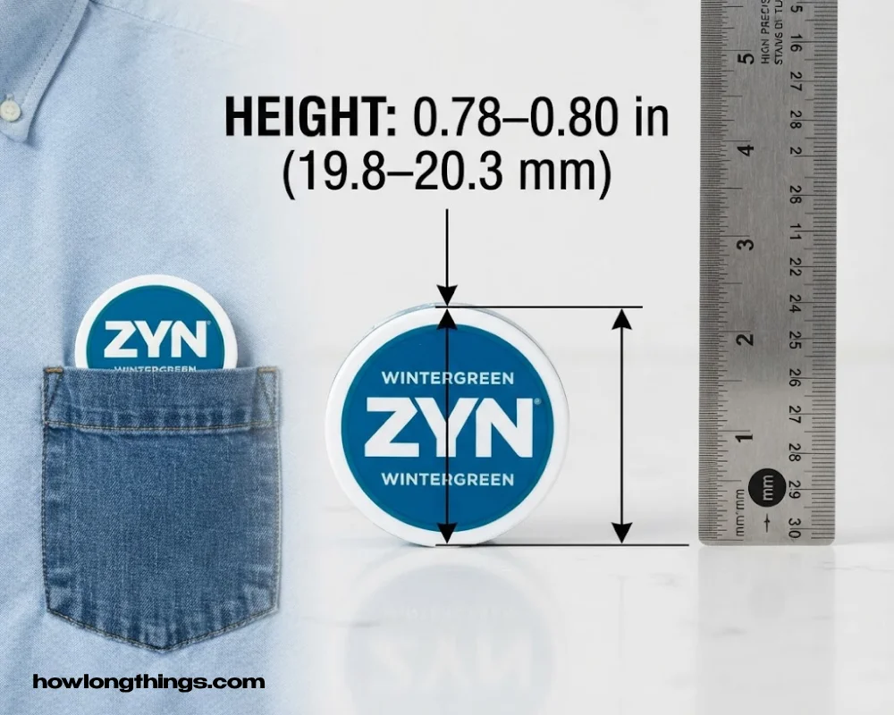 Zyn Can Height